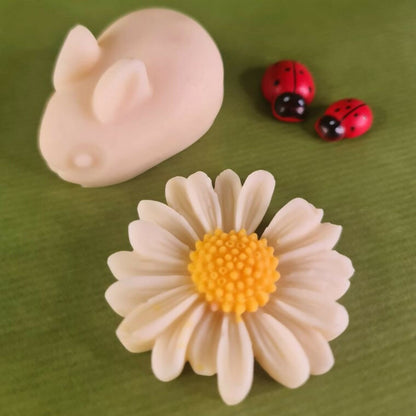 Set odorizante naturale sertare și dulapuri