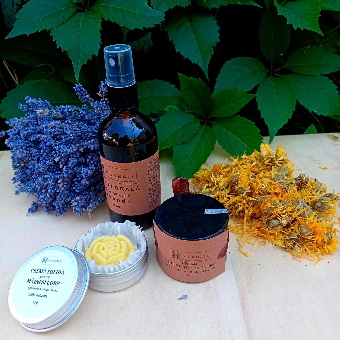 KIT cosmetice pentru vacanță și călătorie