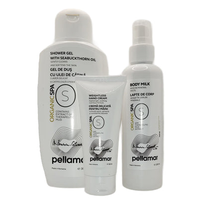 Pachet SKIN CARE (Gel de duș hidratant + Lapte de corp + Cremă delicată)