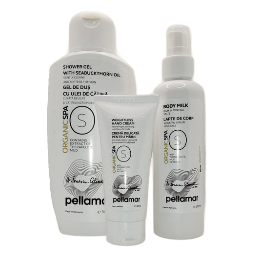Pachet SKIN CARE (Gel de duș hidratant + Lapte de corp + Cremă delicată)