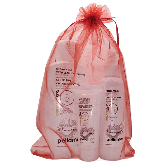 Pachet SKIN CARE (Gel de duș hidratant + Lapte de corp + Cremă delicată)